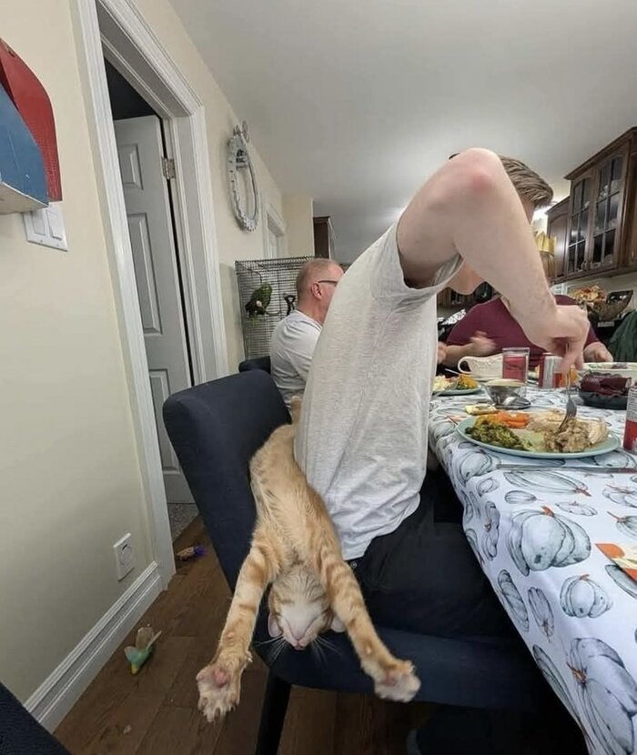 <!--noindex--><a href="https://pikabu.ru/story/_vot_zdes_budet_udobno_13422381?u=https%3A%2F%2Fx.com%2Fgatinarios%2Fstatus%2F1991206982590554299&t=https%3A%2F%2Fx.com%2Fgatinarios%2Fstatus%2F1991206982590554299&h=a89229727fc30ca85d807dad7de584dc00e9addb" title="https://x.com/gatinarios/status/1991206982590554299" target="_blank" rel="nofollow noopener">https://x.com/gatinarios/status/1991206982590554299</a><!--/noindex-->