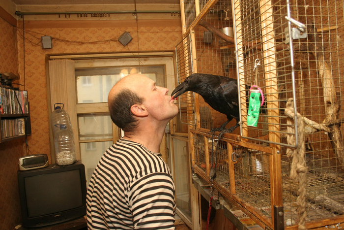 Справедливости ради: те, кто пережил все невзгоды, обретают преданного друга на всю жизнь.