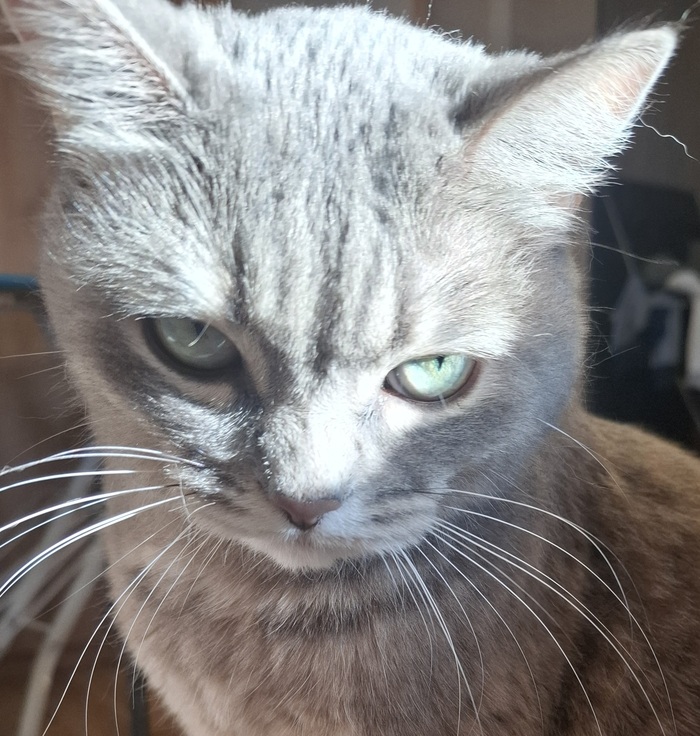 �� ������ ������� ����������!