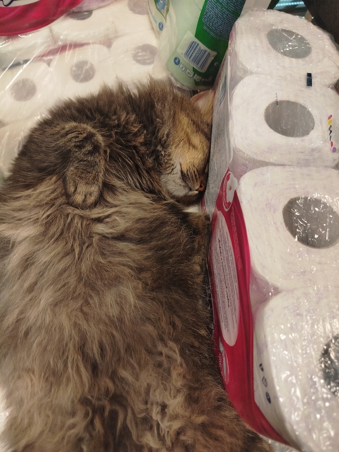 <!--noindex--><a href="https://pikabu.ru/story/kogda_ustal_raskladyivat_tovar_13425472?u=https%3A%2F%2Fvk.com%2Fwall-126988526_983904&t=https%3A%2F%2Fvk.com%2Fwall-126988526_983904&h=c7e5bbd3d810c1e507551217bd469fb1fd9fb1f0" title="https://vk.com/wall-126988526_983904" target="_blank" rel="nofollow noopener">https://vk.com/wall-126988526_983904</a><!--/noindex-->