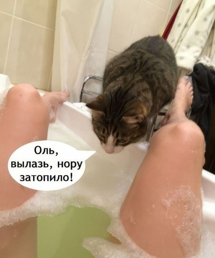 Оль