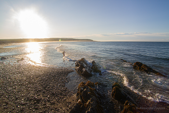 Водичка бодра