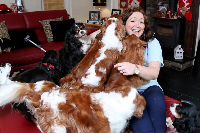 Кавалеротерапия.