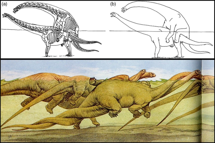 И ещё пару вариантов для любителей нестандартных мест и поз!