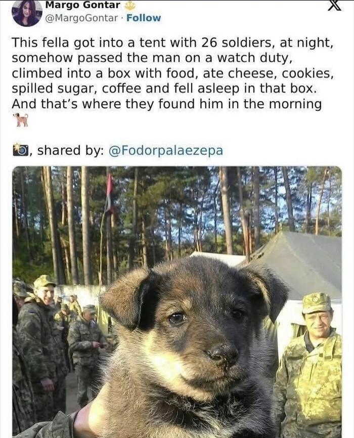      ,   26 , -    ,     ,    ,          .     