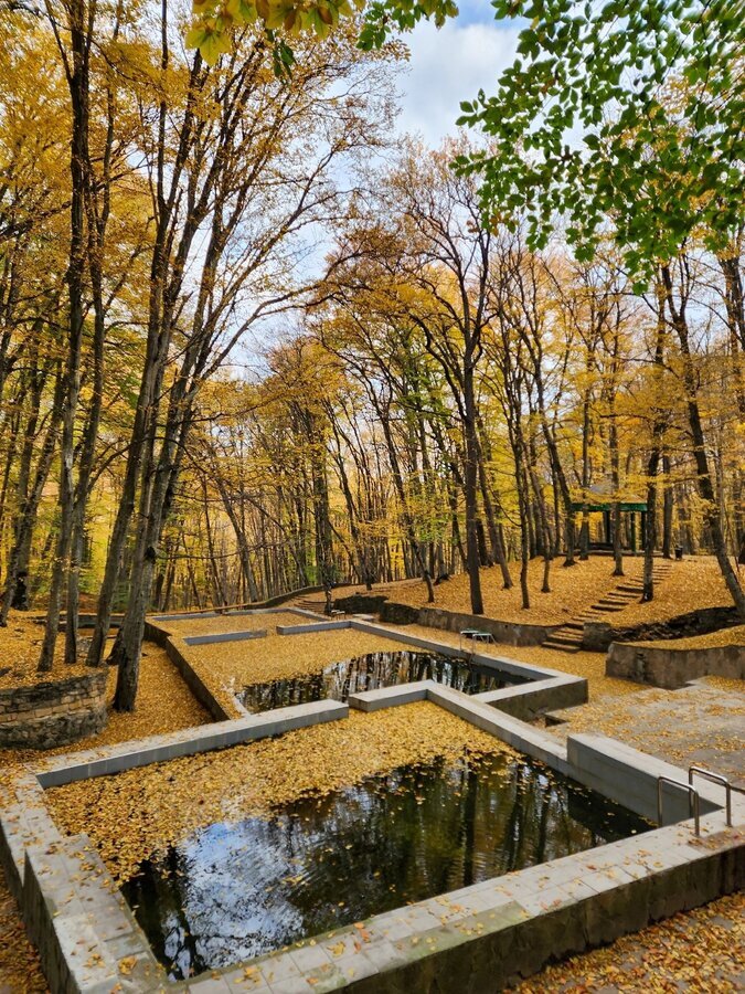 Чат ЛЗ Ставрополь и Ставропольский край