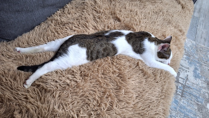 Или такой вариант, чаще когда убираюсь