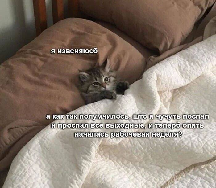Это про меня