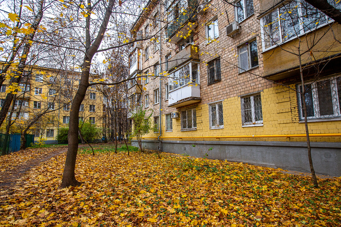  (2025 )      " ۓ    " (. . , 1965). .   