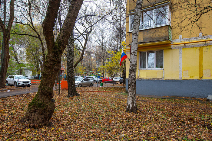  (2025 )      " ۓ    " (. . , 1965). .   