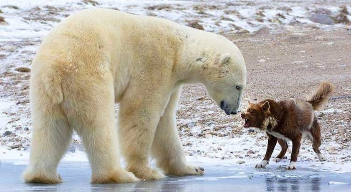        ,     .            .