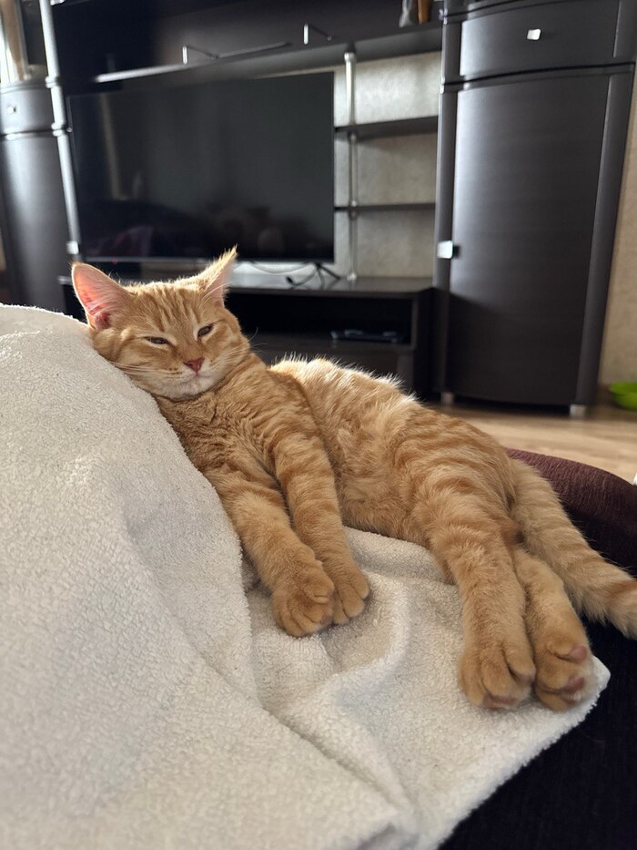 ��� ��� ���, ������� ����� ���