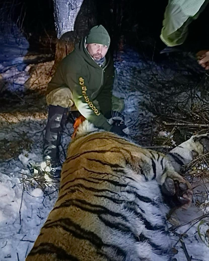  <a href="https://pikabu.ru/story/poymanyi_demoralizovanyi_13430730?u=https%3A%2F%2Ft.me%2Fupr_ohota27%2F3275&t=%D0%BE%D1%82%D1%81%D1%8E%D0%B4%D0%B0&h=47cef1381d602ecf36eddde3b0678a78537001ea" title="https://t.me/upr_ohota27/3275" target="_blank" rel="nofollow noopener"></a>