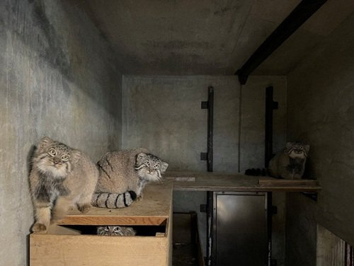 Уходите, вы уже взрослые!