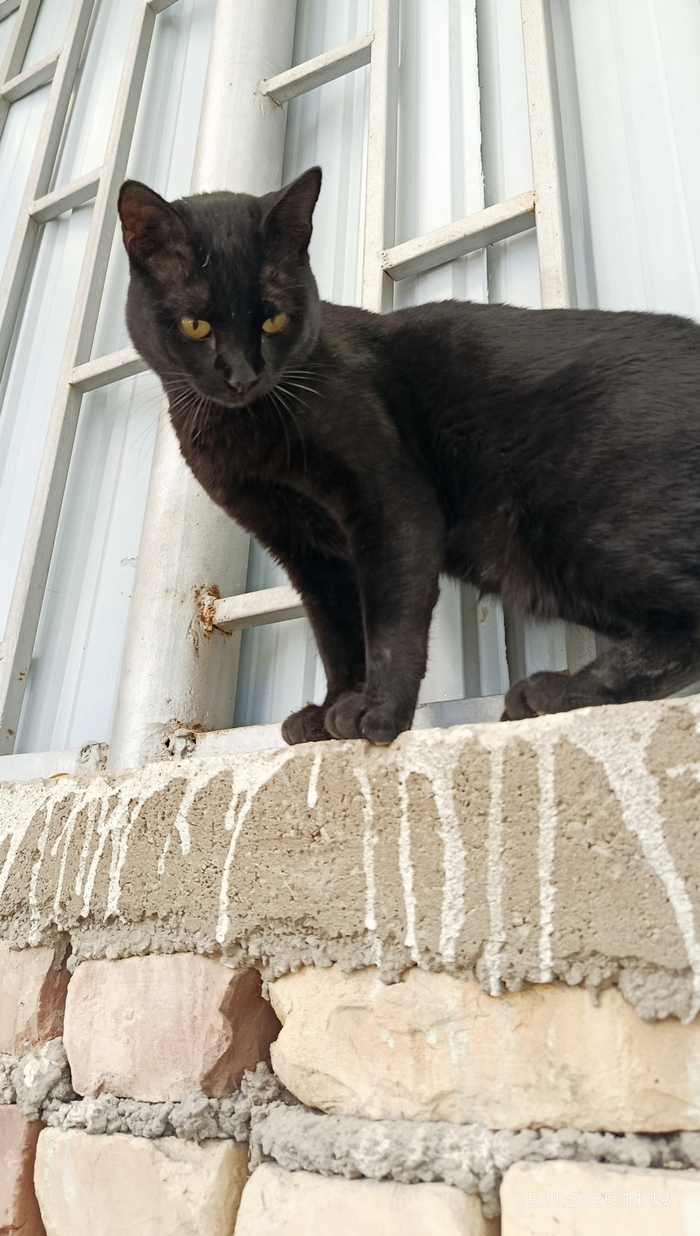 Надзиратель