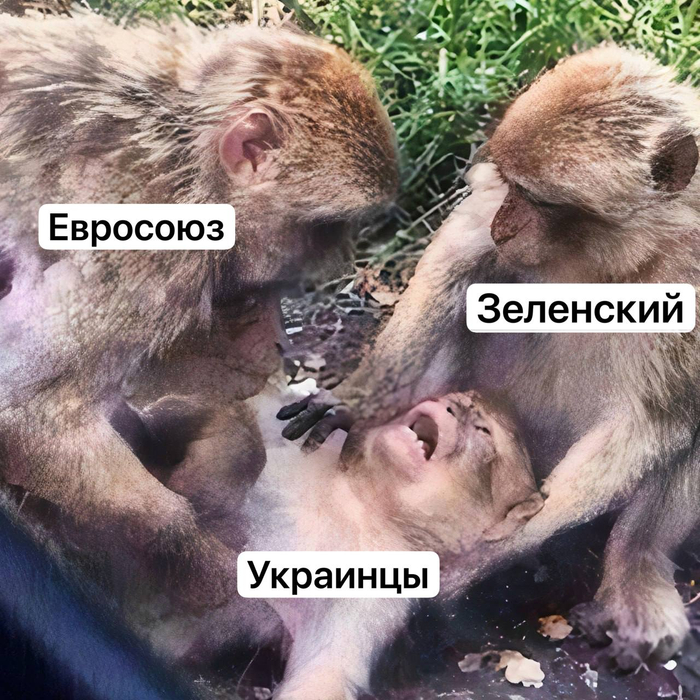 План Трампа с правками ЕС обречен на провал