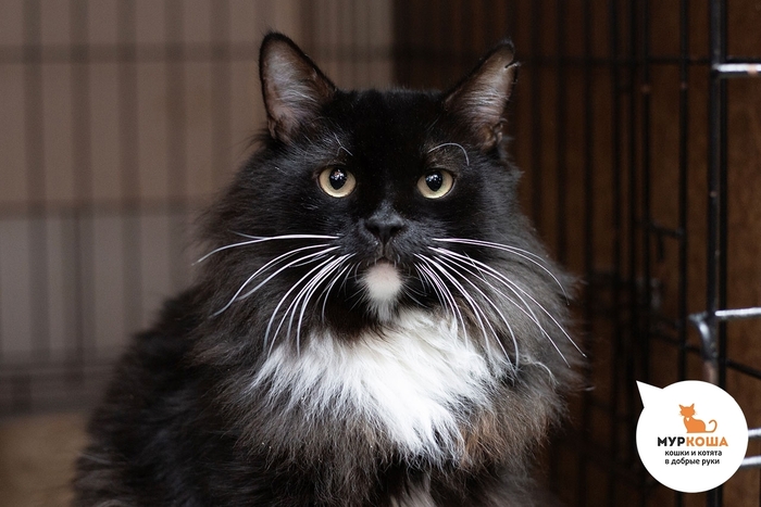  , 4 ,   .  .        - .  ,          ,    .