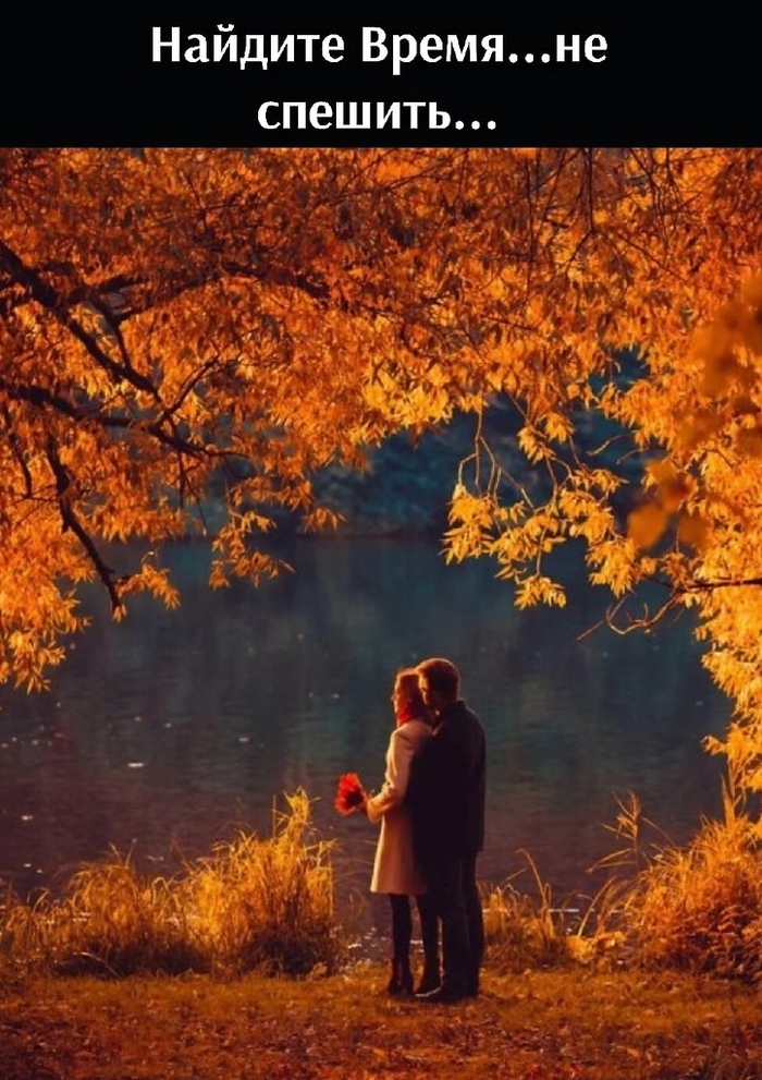 ������� ����� �� �������