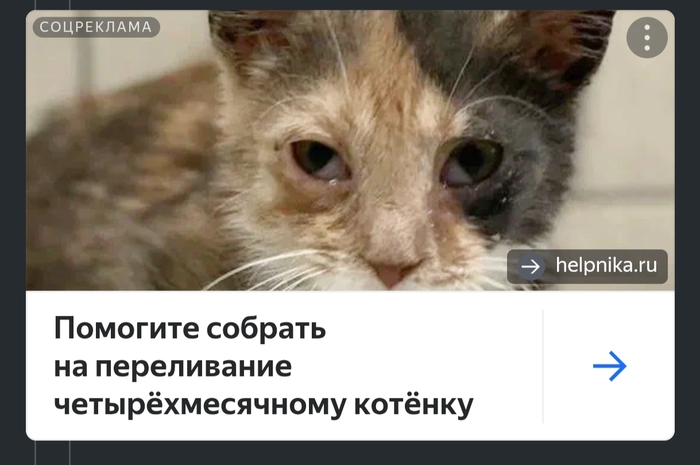 Я думал только собачники шизанулись