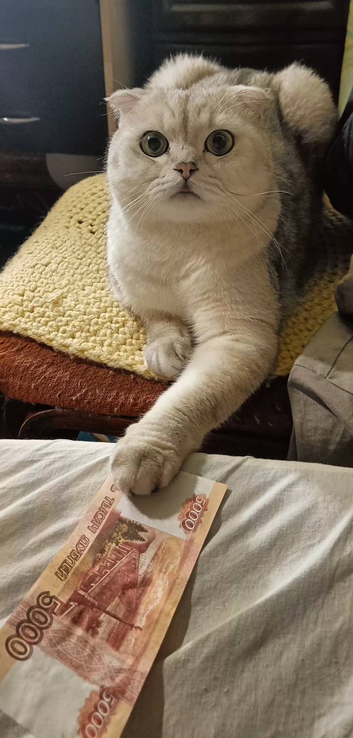    &quot;,   ,   &quot;