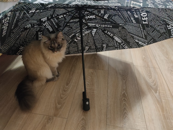    &quot;,   ,   &quot;