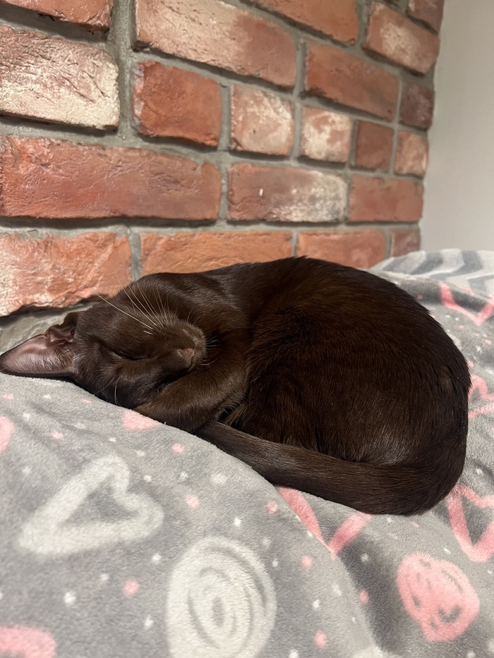 ���� ������� � ����� �������� ���������)