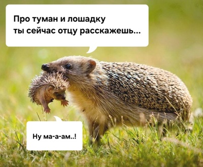 Иллюстрация к комментарию