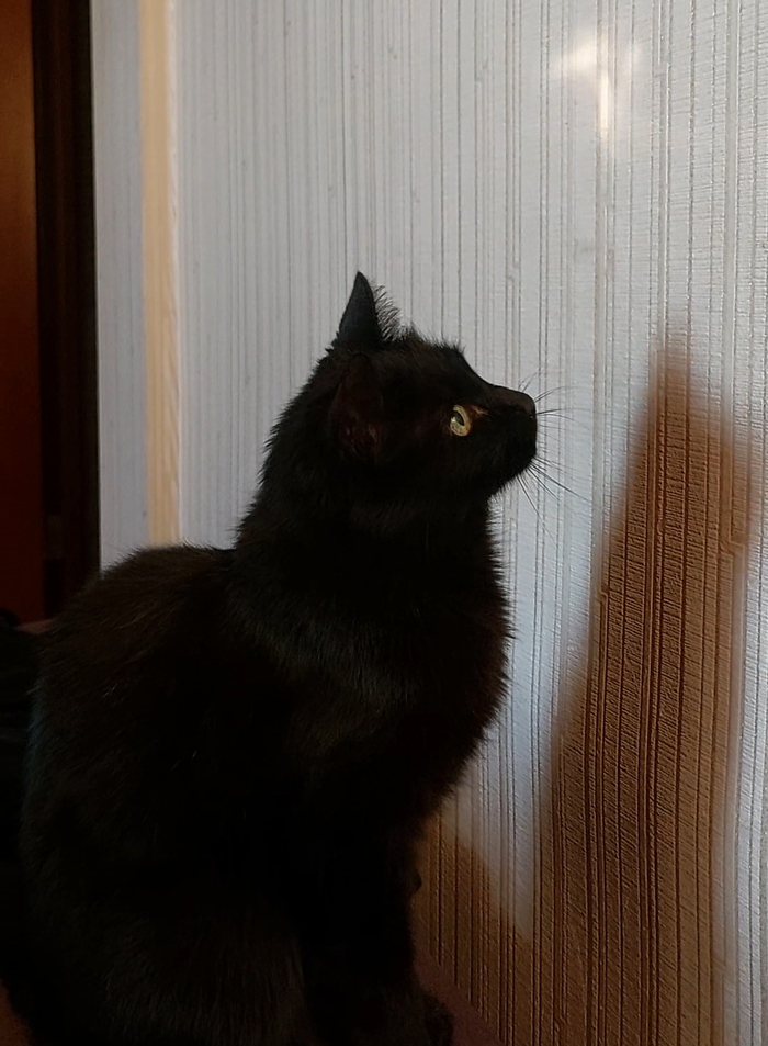 .    16  2025. ~15.5 