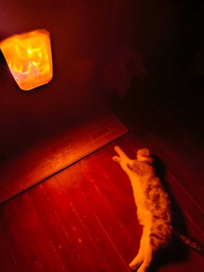    &quot;,   ,   &quot;