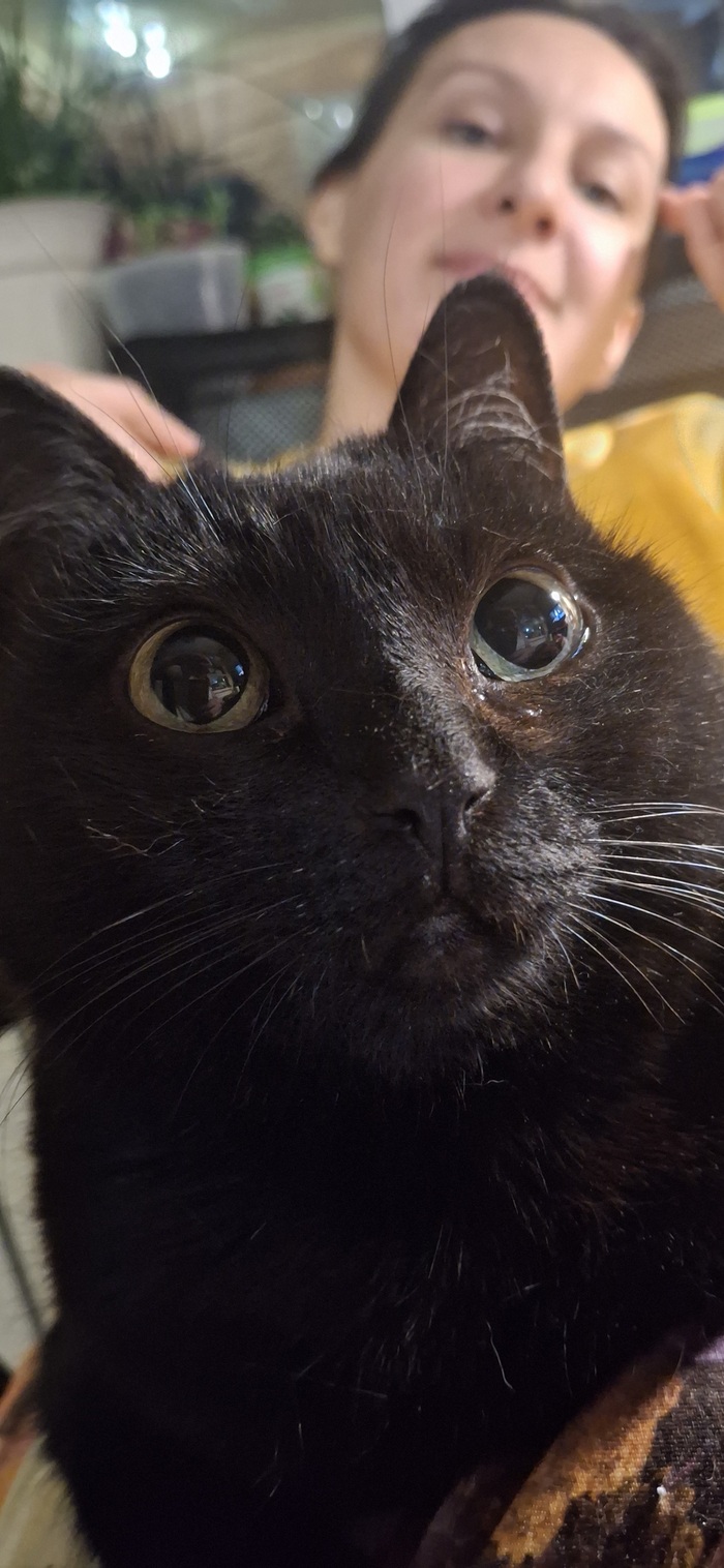    &quot;,   ,   &quot;