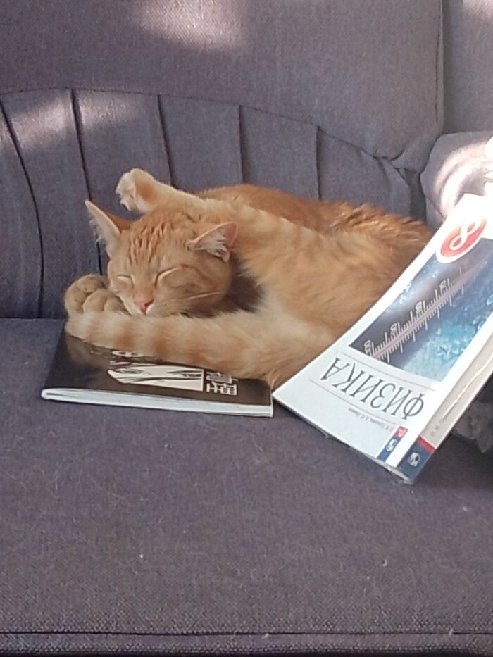    &quot;,   ,   &quot;