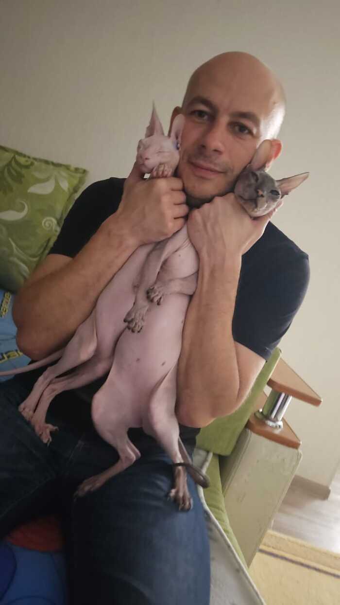 Ответ на пост "Подтвердите, что вы пикабушник, добавив фото кота"