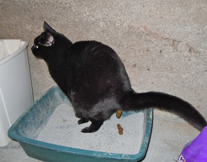    &quot;,   ,   &quot;