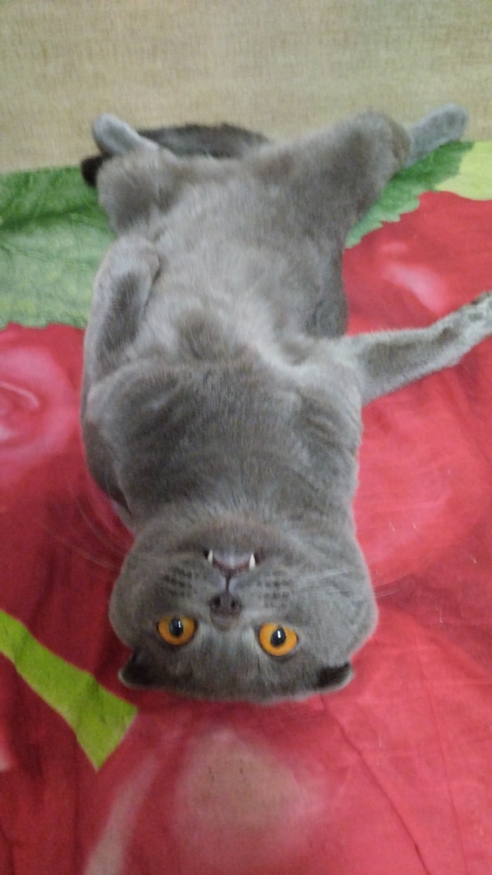    &quot;,   ,   &quot;