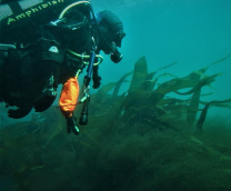 �������� � Pike : ��� �������