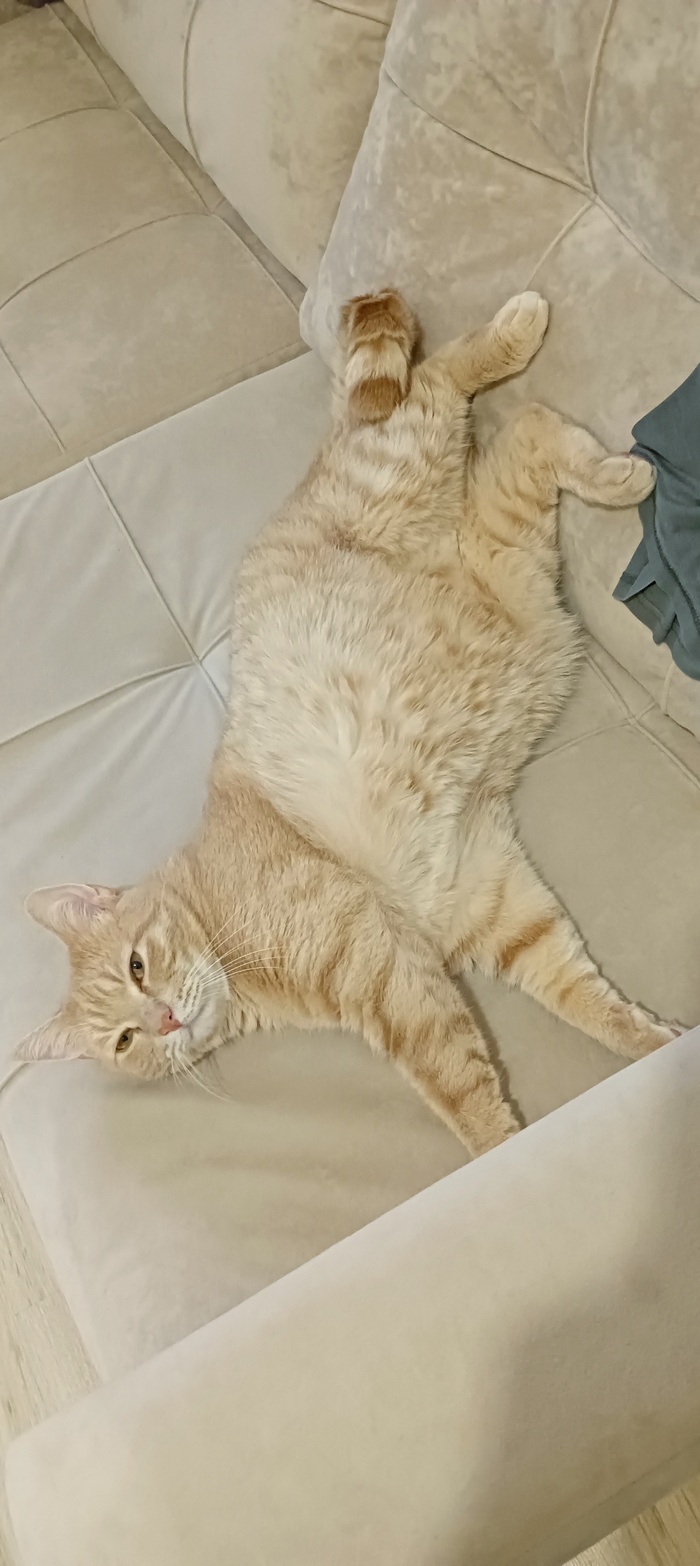    &quot;,   ,   &quot;