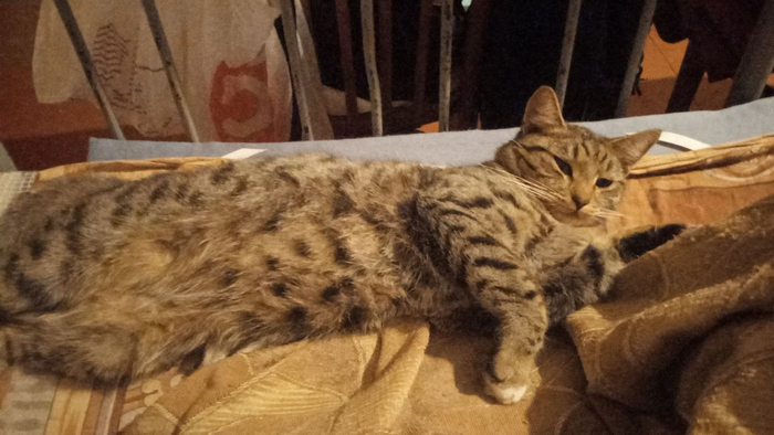 и снова Федечка