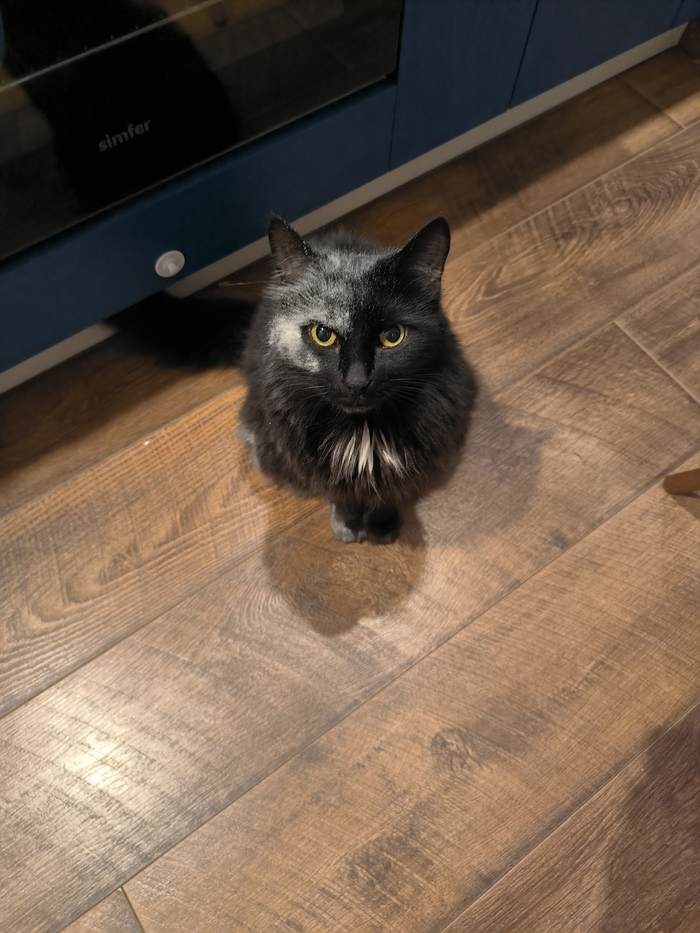 <!--noindex--><a href="https://pikabu.ru/story/_net_ya_ne_znayu_kto_rassyipal_muku_13441889?u=https%3A%2F%2Fvk.com%2Fwall-119102645_201667&t=https%3A%2F%2Fvk.com%2Fwall-119102645_201667&h=c15527b09c7d349d24b705bb619b41e57e4fe081" title="https://vk.com/wall-119102645_201667" target="_blank" rel="nofollow noopener">https://vk.com/wall-119102645_201667</a><!--/noindex-->