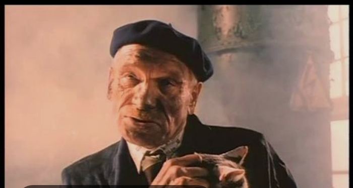 ����� �� ���� ������� ���� ��� ������: 13% ��� 146%?�