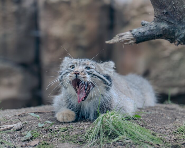 Ура, пятничка !!!