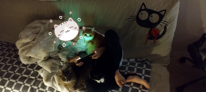    &quot;,   ,   &quot;