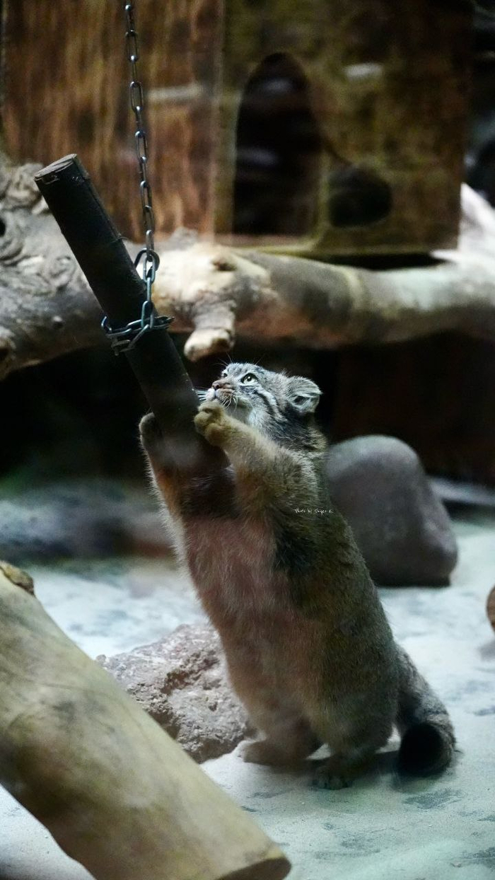 Сфоткай, типа я астроном