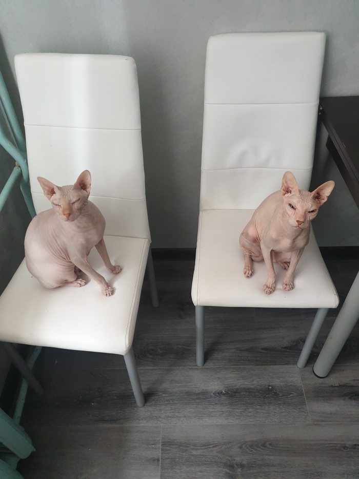    &quot;,   ,   &quot;