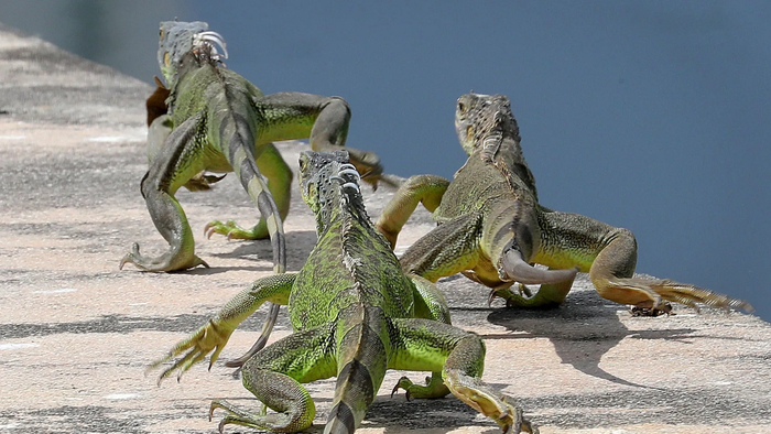 С пацанами идём заселять новые города! А то в этом в нас шмаляют...