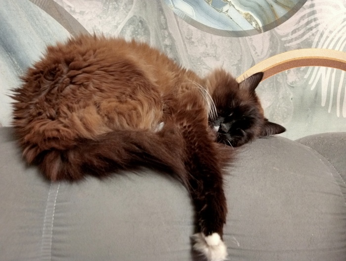    &quot;,   ,   &quot;