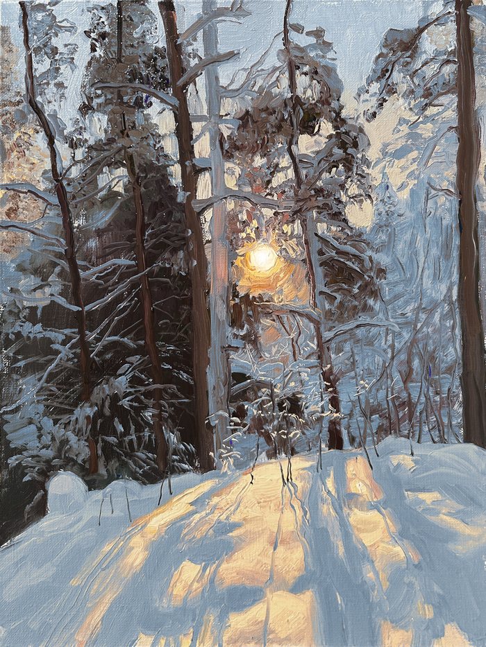 Вечерний вид. Февраль. 40х30. Холст. Масло.