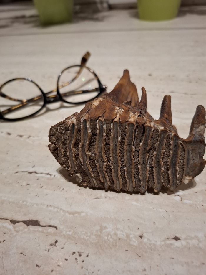    ,    ,       ,     )