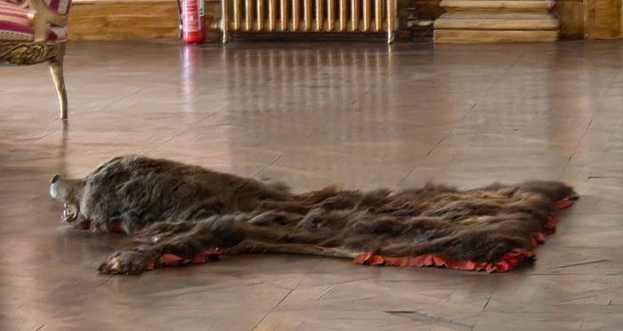    ,          .    ,   .