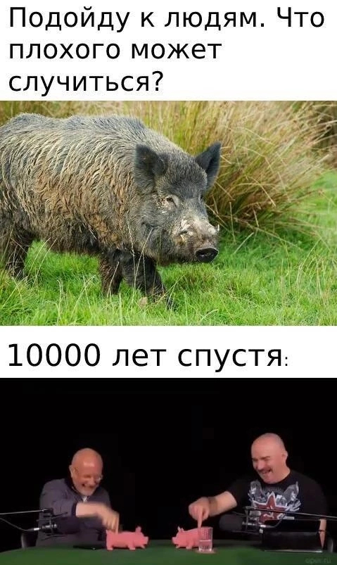      :<a href="/@k0nfidential" target="_blank" rel="noopener" class="user-call" data-type="user" data-own="false" data-profile="true" data-name="k0nfidential">https://pikabu.ru/@k0nfidential</a>