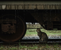 ���� � �����������